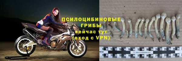 прущие грибы Бугульма