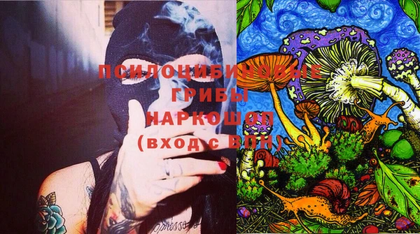 прущие грибы Бугульма