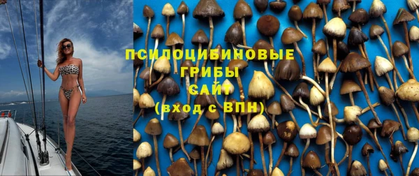 прущие грибы Бугульма