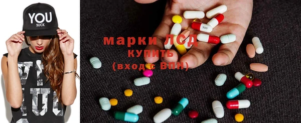 прущие грибы Бугульма