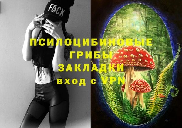 бутик Бородино