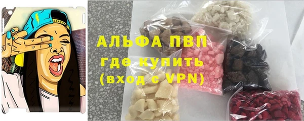 прущие грибы Бугульма